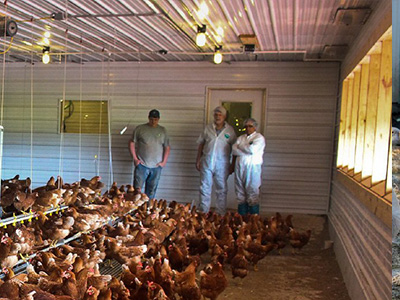 蛋雞舍怎樣安裝水冷風機？蛋雞舍水冷風機安裝步驟