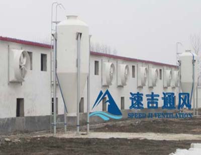 400平方豬舍配水簾風(fēng)機怎么計算？速吉通風(fēng)案例詳解